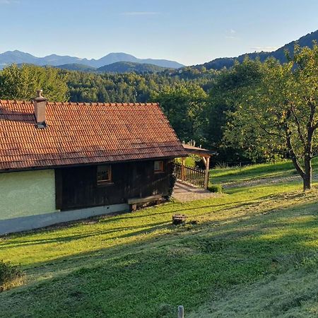 Hiska Ob Gozdu Villa Polzela Buitenkant foto