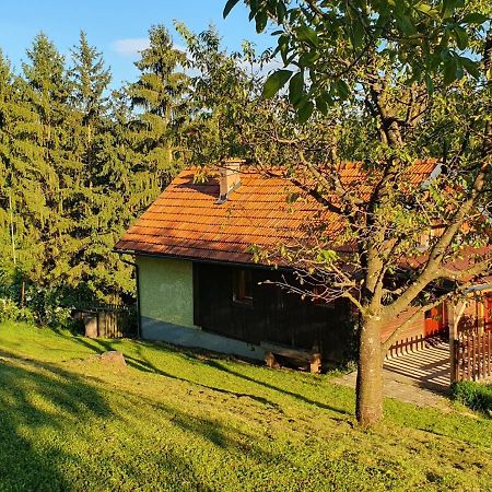 Hiska Ob Gozdu Villa Polzela Buitenkant foto
