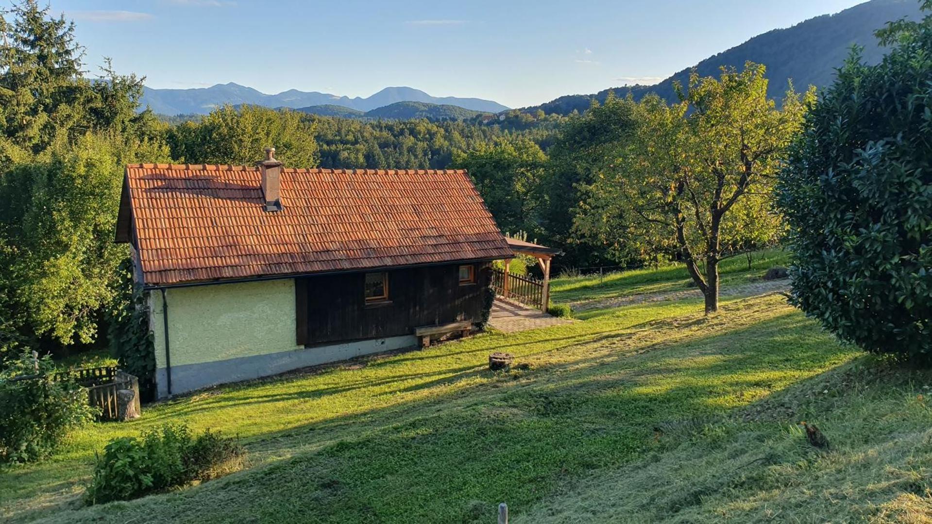 Hiska Ob Gozdu Villa Polzela Buitenkant foto
