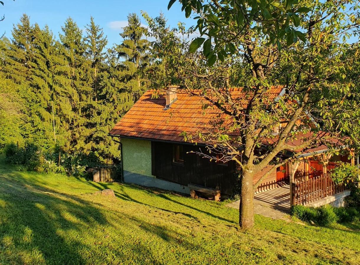 Hiska Ob Gozdu Villa Polzela Buitenkant foto
