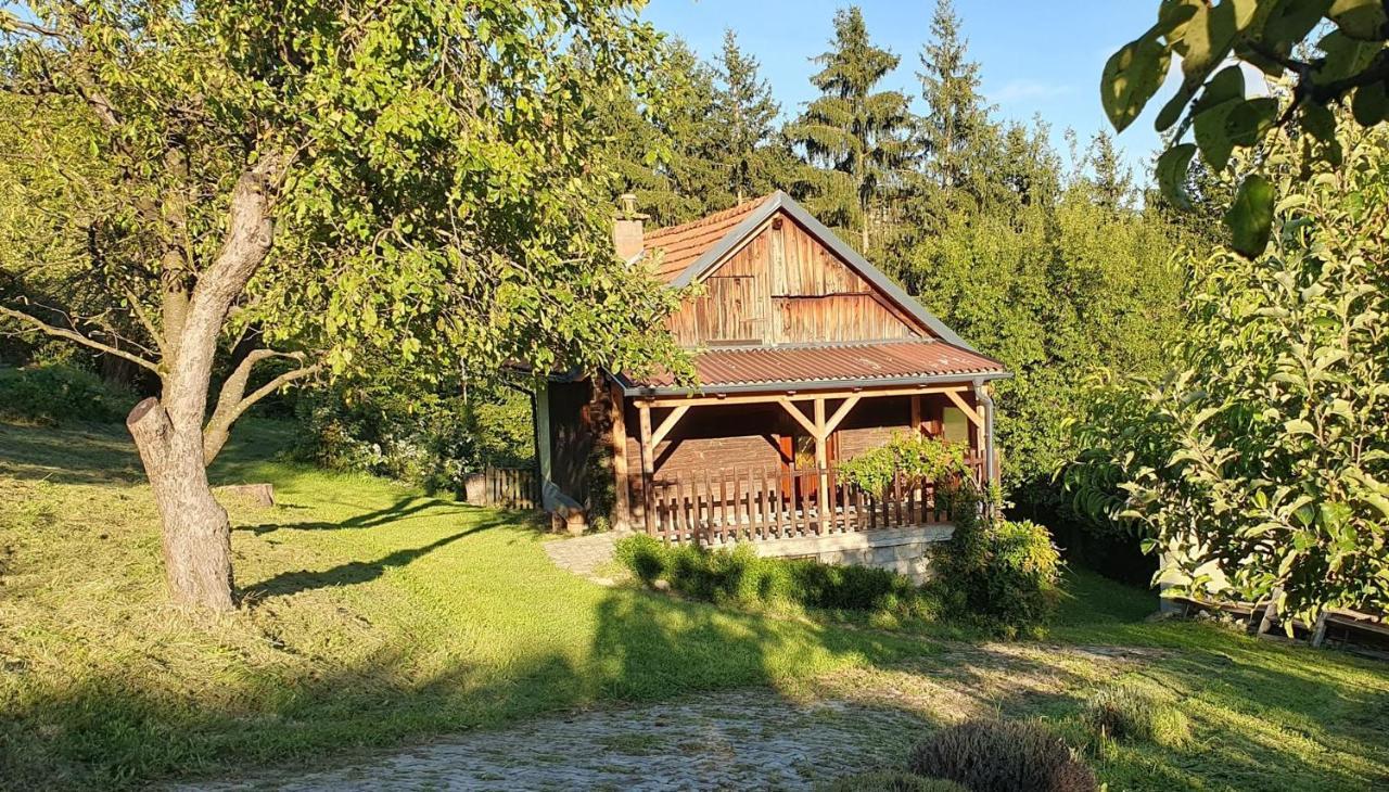 Hiska Ob Gozdu Villa Polzela Buitenkant foto